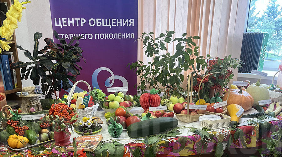 За четыре месяца существования Центра общения старшего поколения «Улыбка долголетия» в него вступили около 60 полевчан