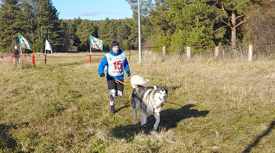 В Полевском прошёл очередной этап фестиваля бега «Серебряное копытце»