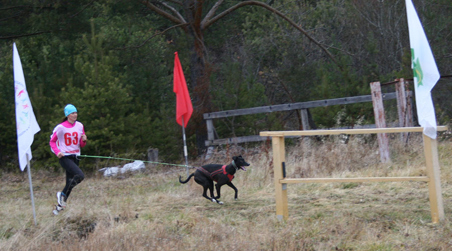 В Полевском прошёл очередной этап фестиваля бега «Серебряное копытце»