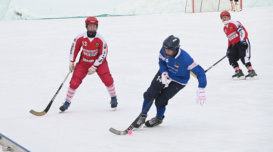 На домашнем льду «Северский трубник» обыграл нижнетагилский «Металлург» 15:0