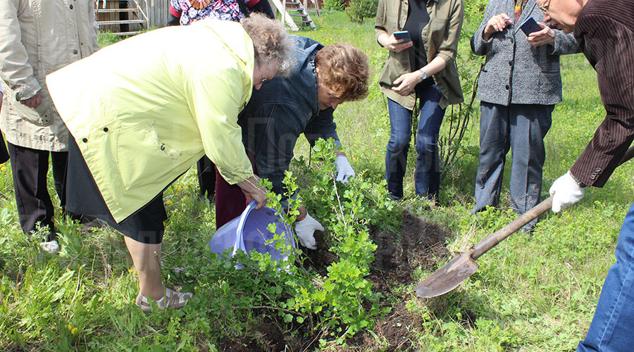 В посёлке Станционный-Полевской в завершение встречи участники проекта высадили куст крыжовника