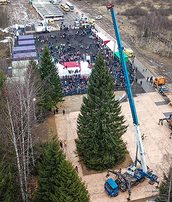 для установки на Соборной площади Московского Кремля было выбрано дерево высотой 25 метров и возрастом 90 лет.