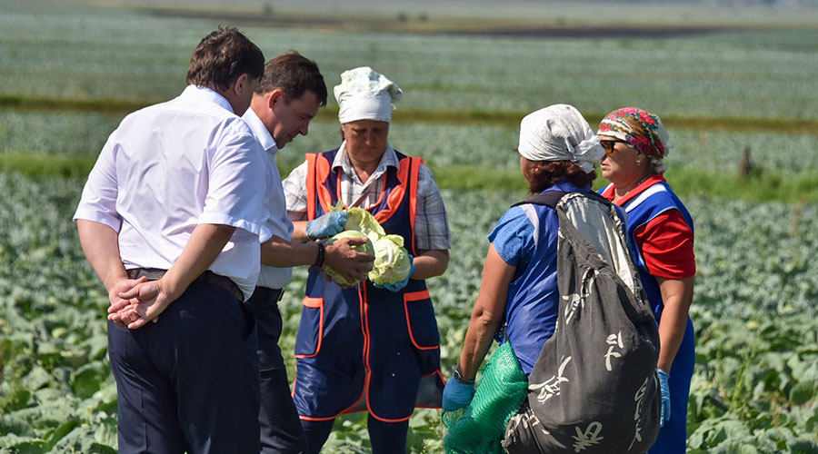 Губернатор Евгений Куйвашев побывал на территории агропромышленного комбината «Белореченский», пообщался с фермерами, осмотрел поля и лично оценил ситуацию