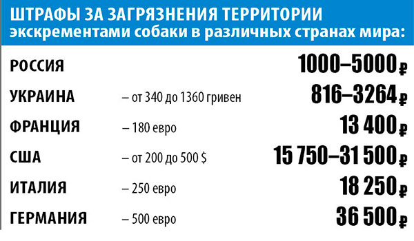 Штрафы за загрязнения территории экскрементами собаки в различных странах мира