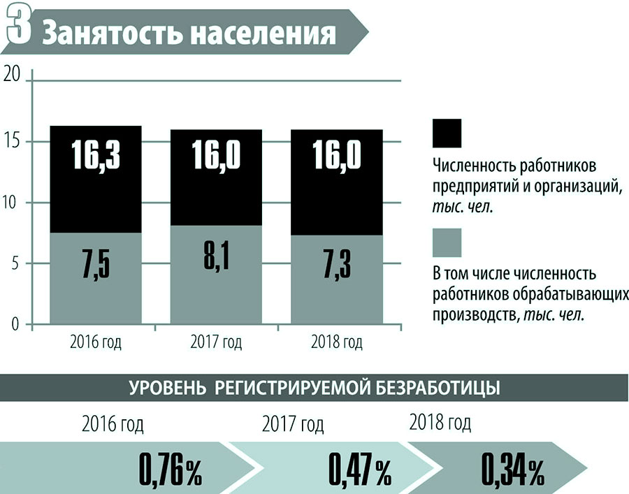 Говоря о положении на рынке труда, глава Полевского округа отметил, что официальная безработица в округе небольшая.