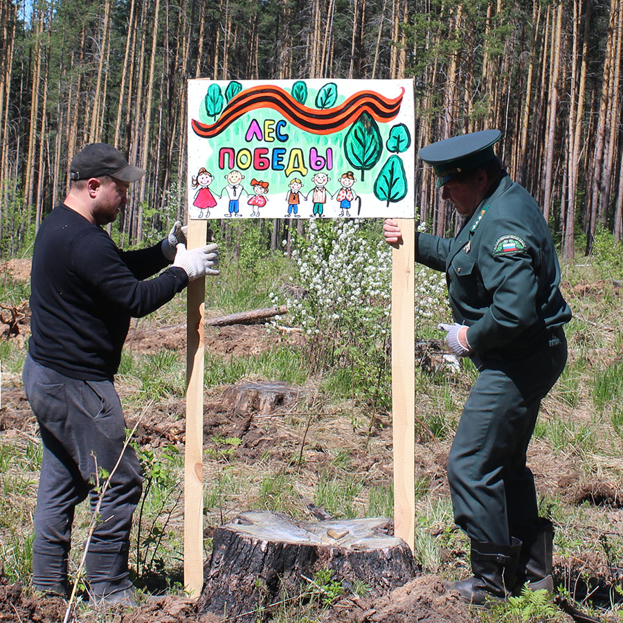 Представитель подрядчика Сергей Ширниязов укрепил яркий плакат – символ акции «Лес Победы»