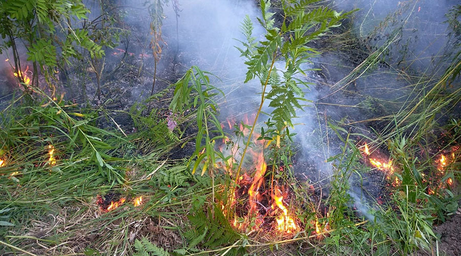 В Полевском округе большая часть лесных пожаров начинается возле железной дороги после проезда пассажирских поездов