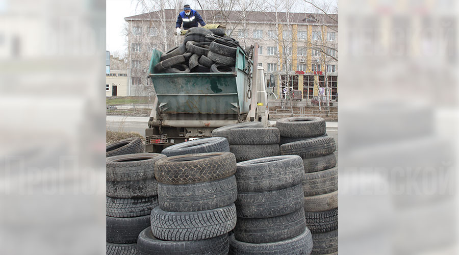 Участники экологической акции «Прикати шину» сдали в переработку более 800 вышедших из употребления автопокрышек