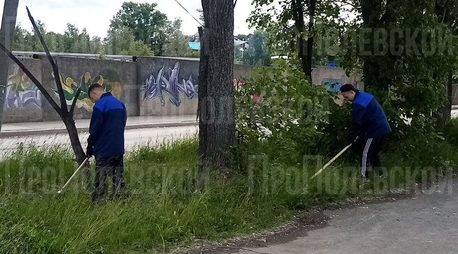 В Полевском с первых дней летних каникул работает подростковый трудовой десант