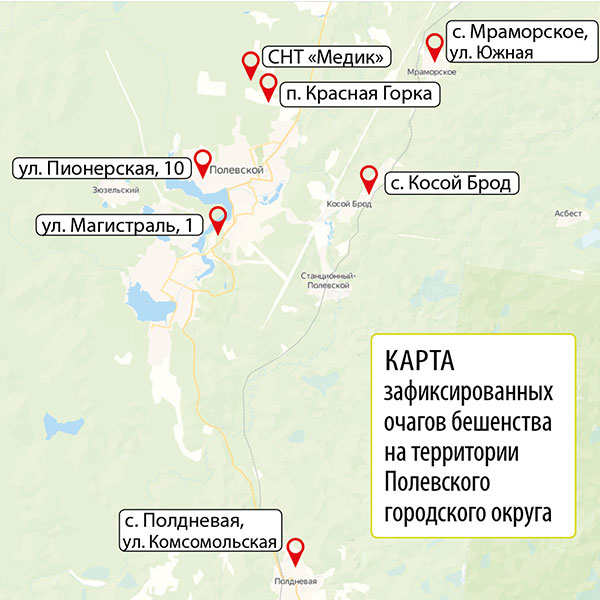 Карта зафиксированных очагов бешенства на территории Полевского городского округа