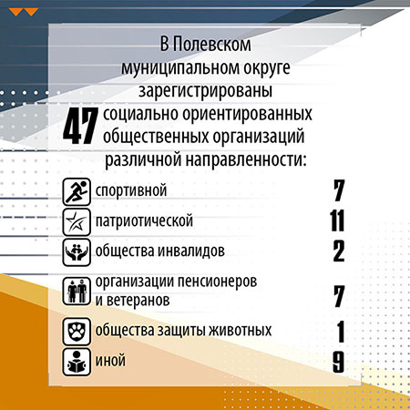 Социально ориентированные общественные организации Полевского